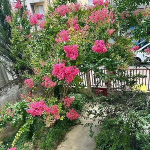  Appartement F3 Au Grenier D'une Maison France